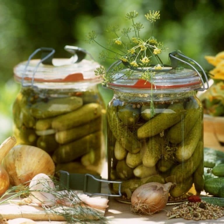 تصویر  خیارشور خیلی ریز