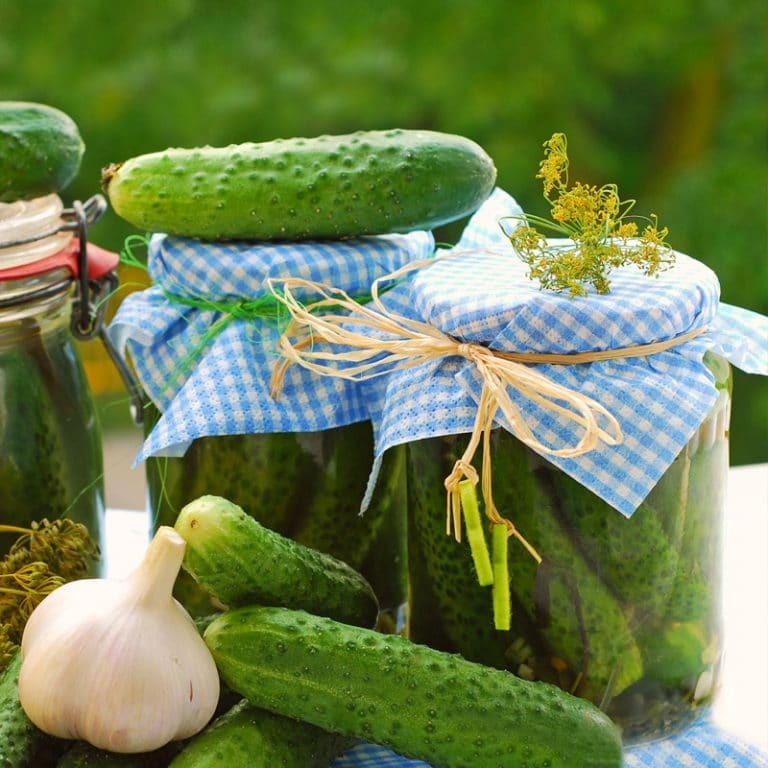 تصویر  خیارشور تخمیری