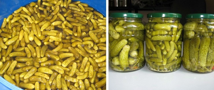 تصویر  Canned Fruit/Vegetables Processing Line,Canned Tomato Machine,Pickle Making Machine