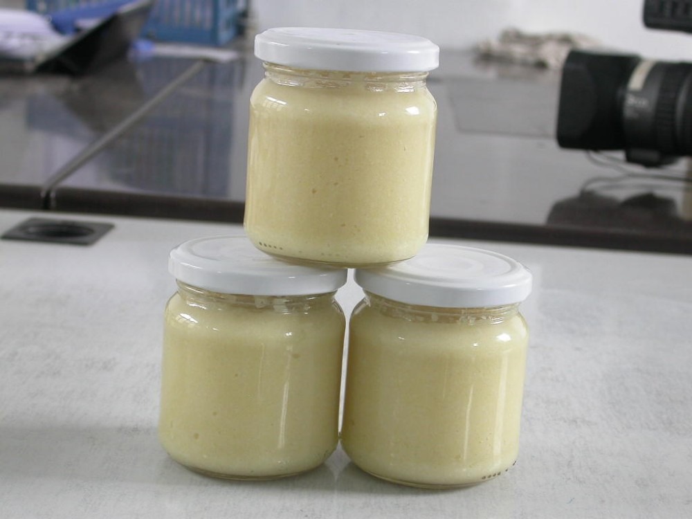 تصویر  Onion paste processing machine making garlic production line