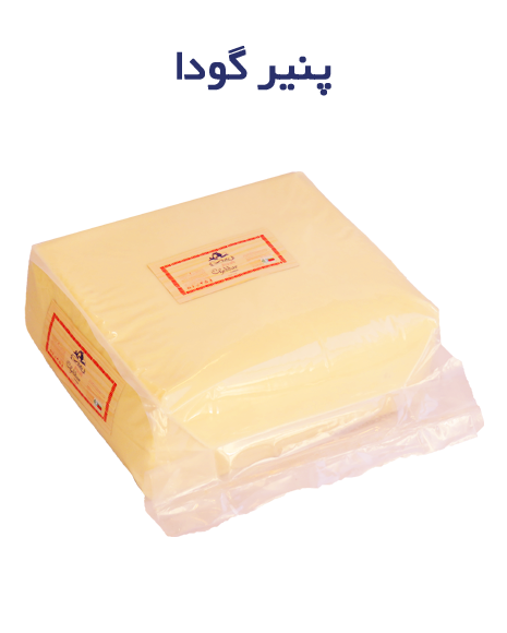 تصویر  Natural Gouda cheese