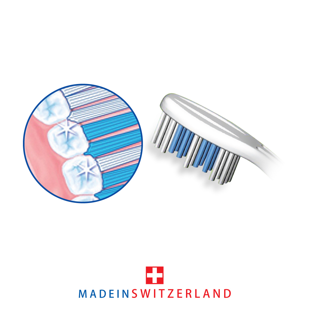 تصویر  مسواک فوکوس تریزا (4 تایی)