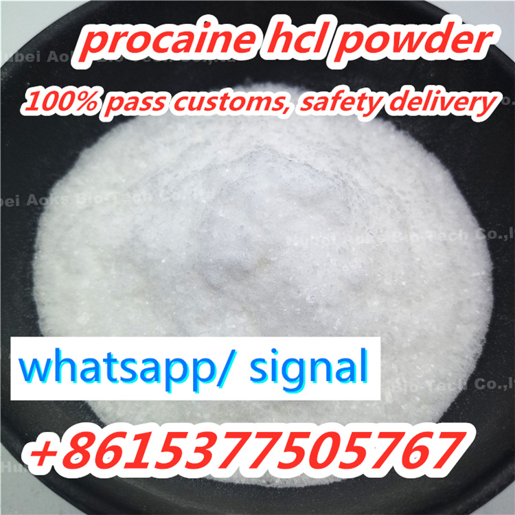 تصویر  Procaine HCl Supplier CAS 51-05-8 for Local Anesthetic procaine powder