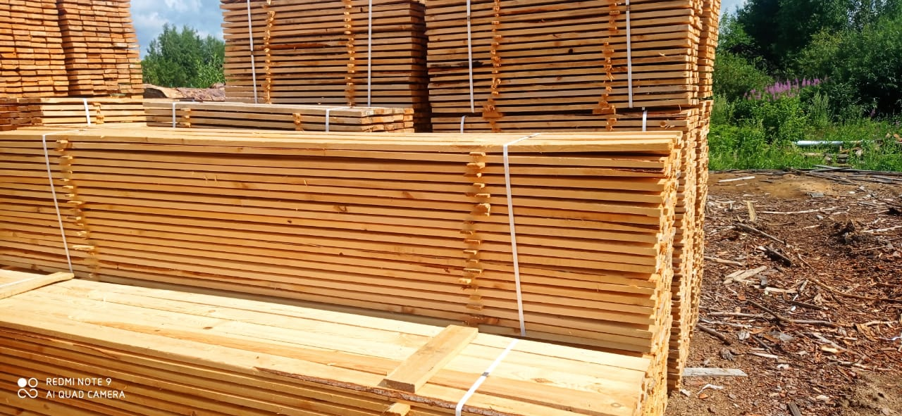 تصویر  Russian woods