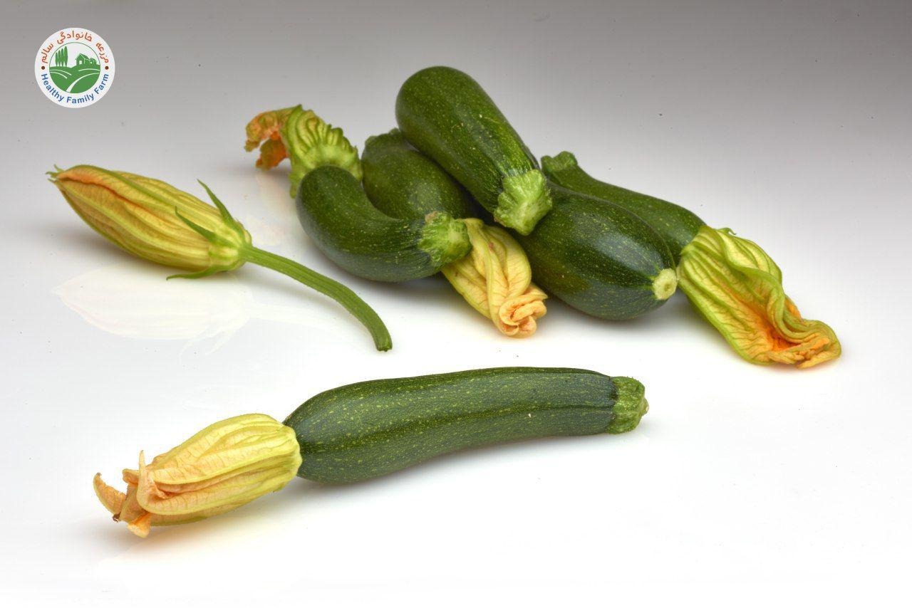 تصویر  کدوی سبز تیره