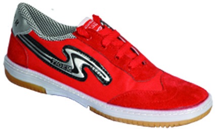 تصویر  کفش ورزشی تایگر