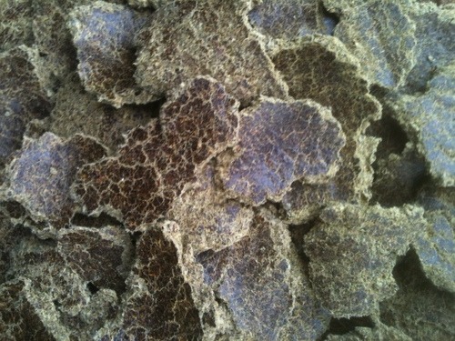 Picture of Cotton seed oil cake