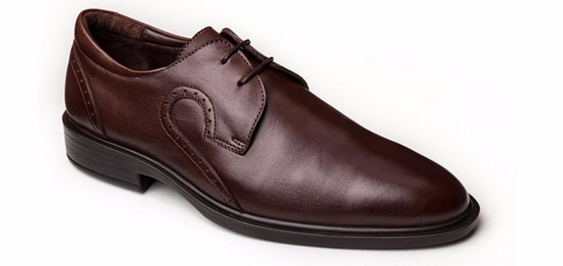 تصویر  دیپلمات 193 مجلسی