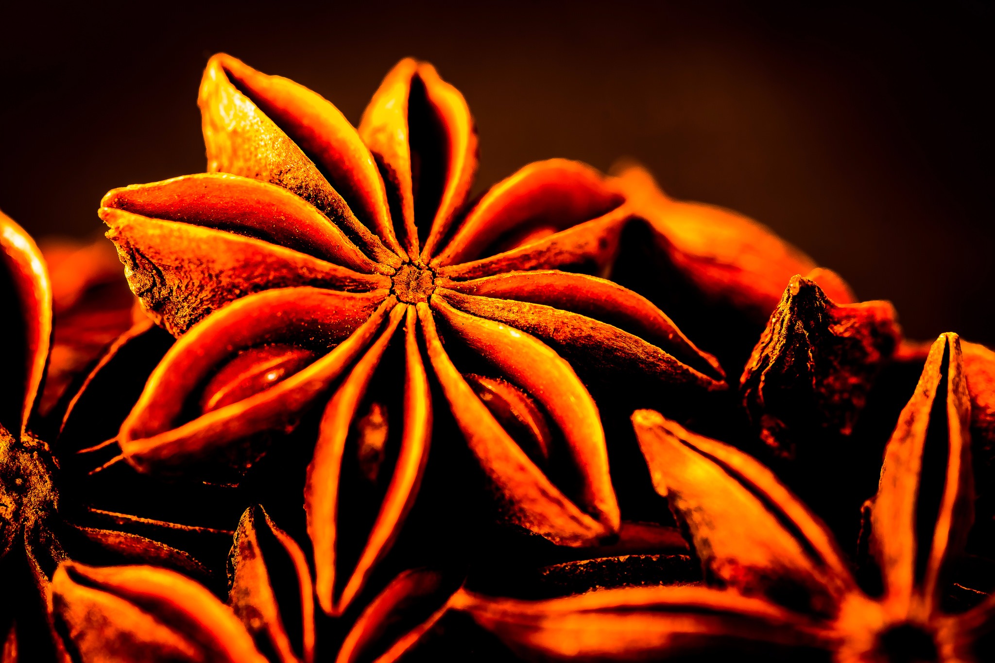 Picture of Star anise