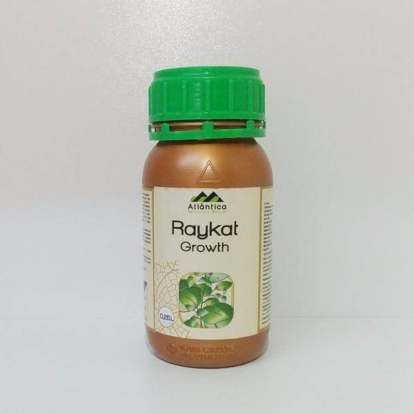 تصویر  Raykat Growth Atlantica Spain Co