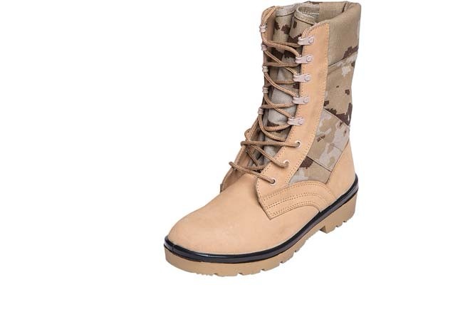 تصویر  پوتین کویری 161