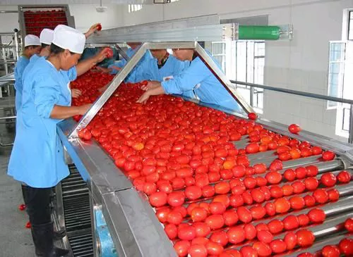 Picture of Automatic Tomato Paste production line /Chili Paste Production Line/Ketchup Processing Line