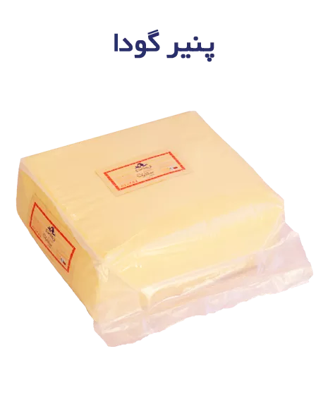 تصویر  پنیر گودای طبیعی