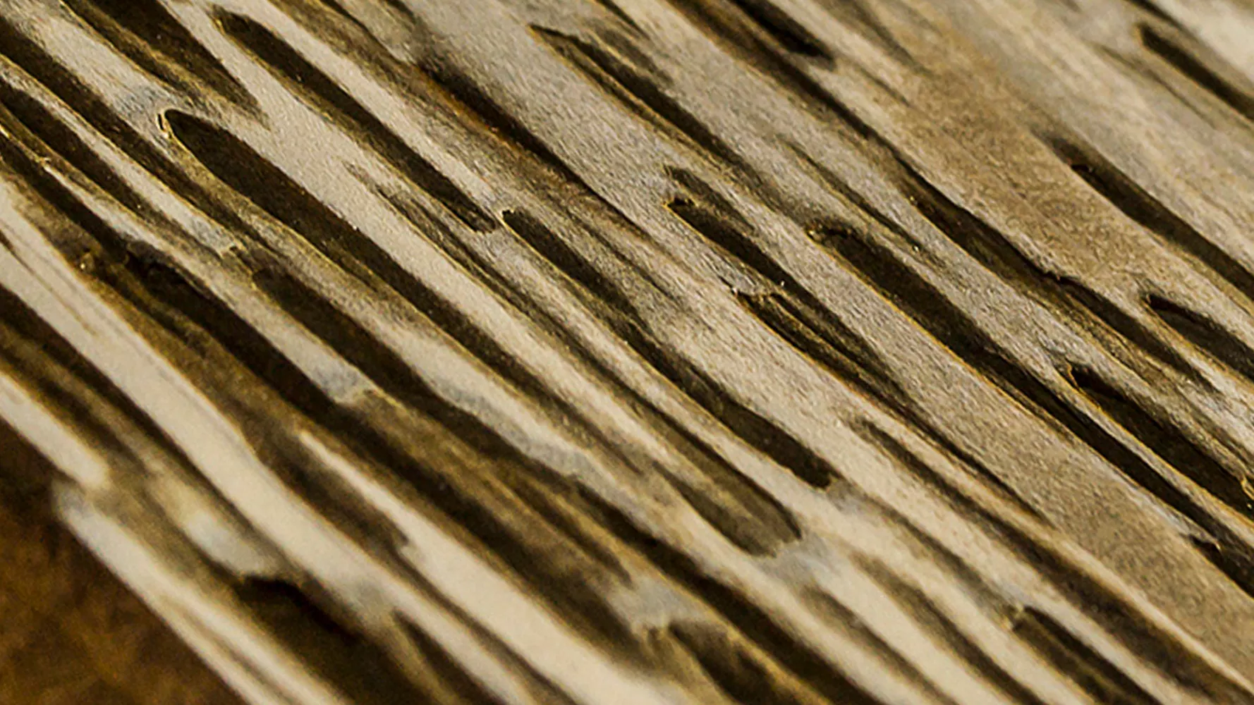 تصویر  تخته سه بعدی Raggy Wood Bark/Carbon Tex