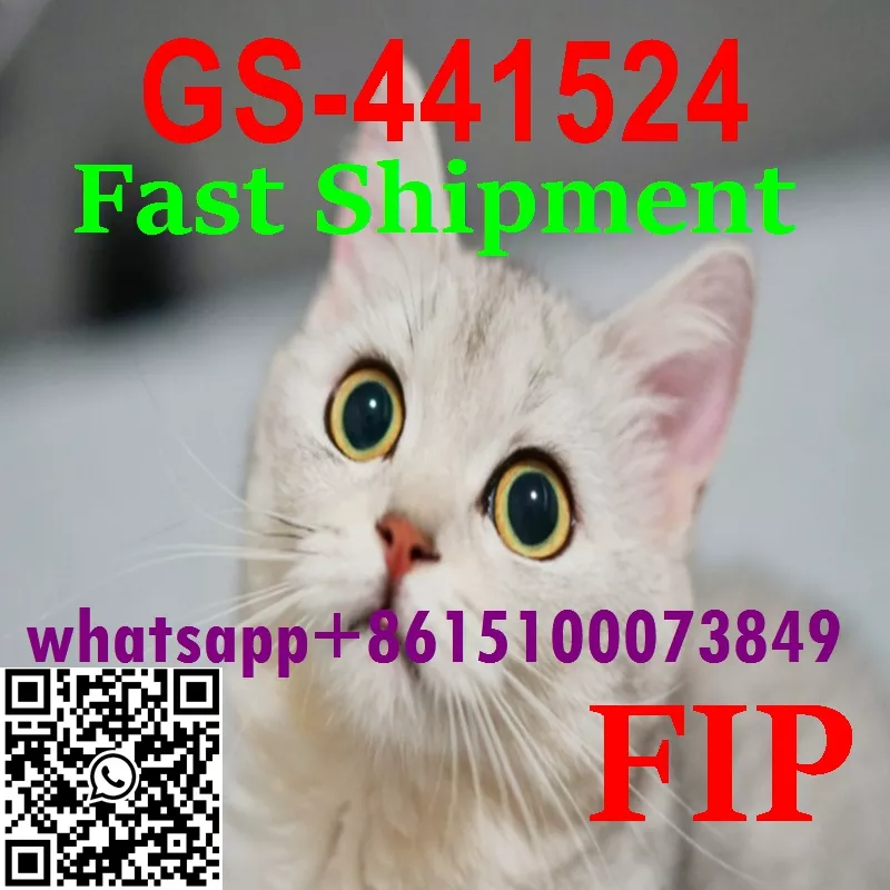 تصویر  FIP treatments