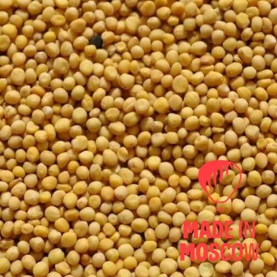 تصویر  خردل (زرد، سفید)، Oreol