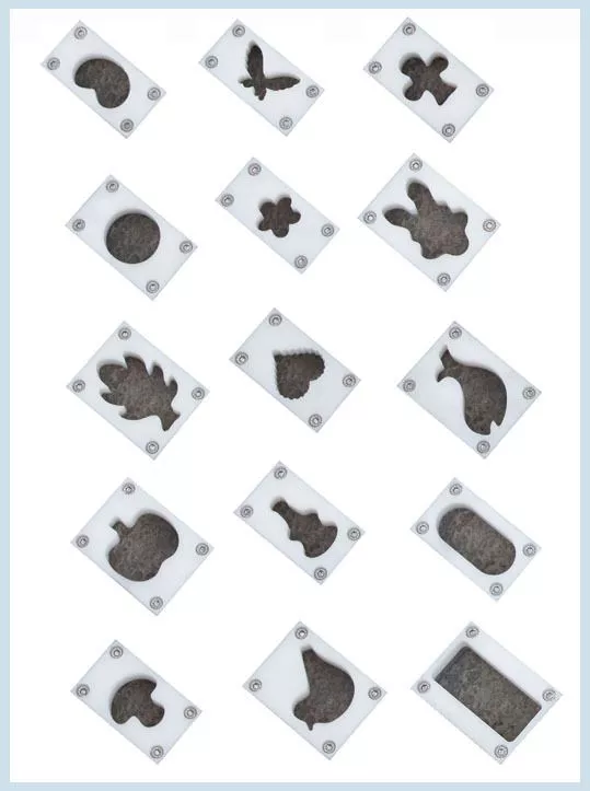 Picture of wirecut cookie machine