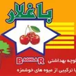 Ecasb