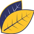 Ecom