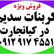 کیاتجارت